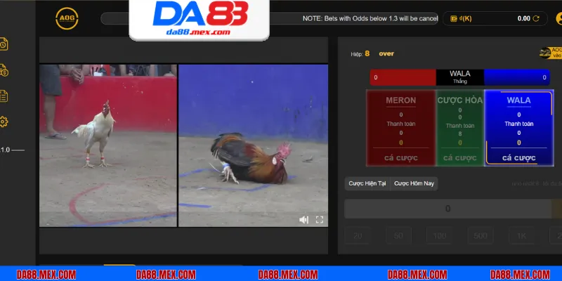 Giới thiệu các cửa cược được nhà cái cung cấp khi bạn tham gia